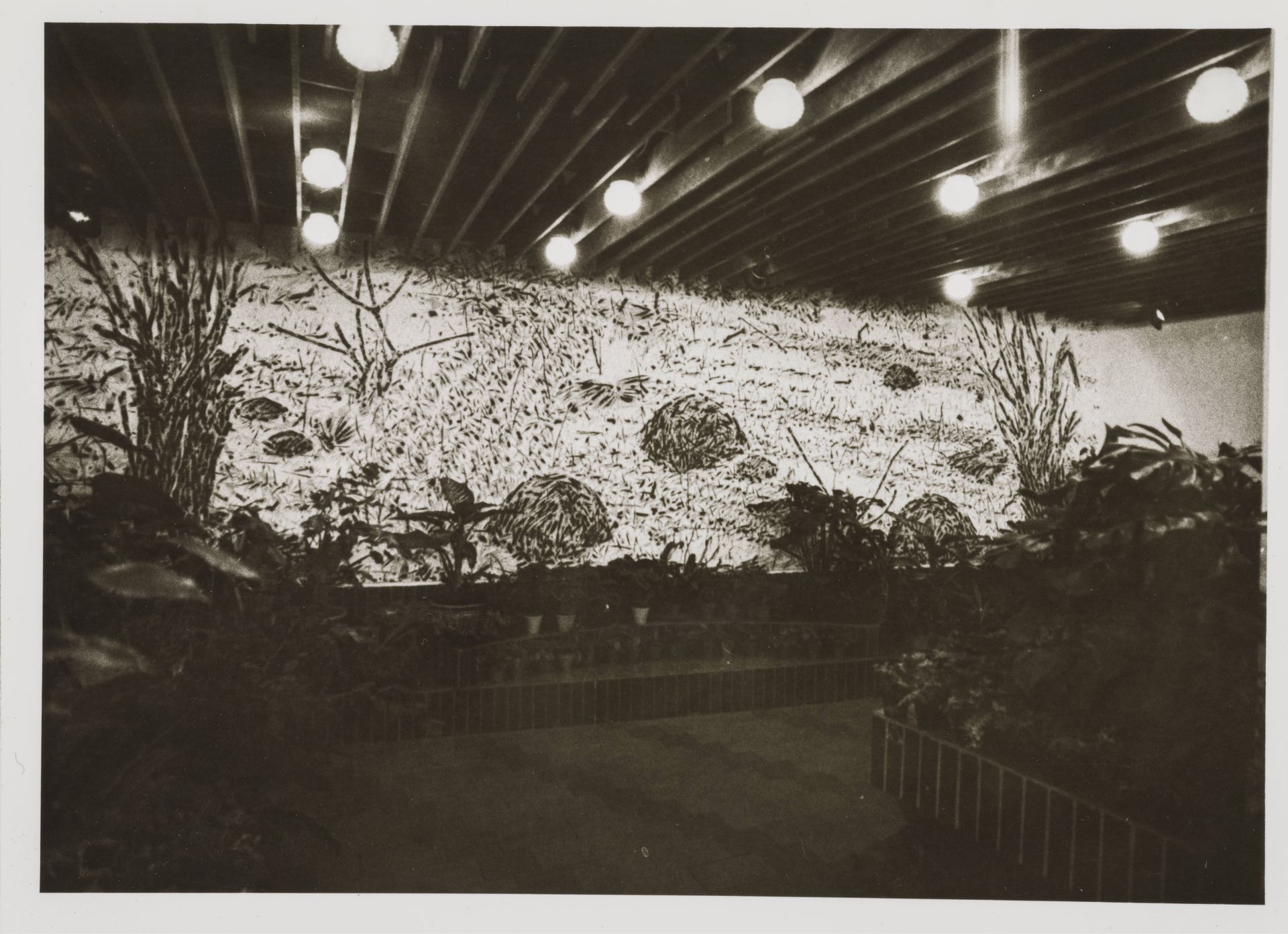 Dům služeb_Kolín_sgrafito