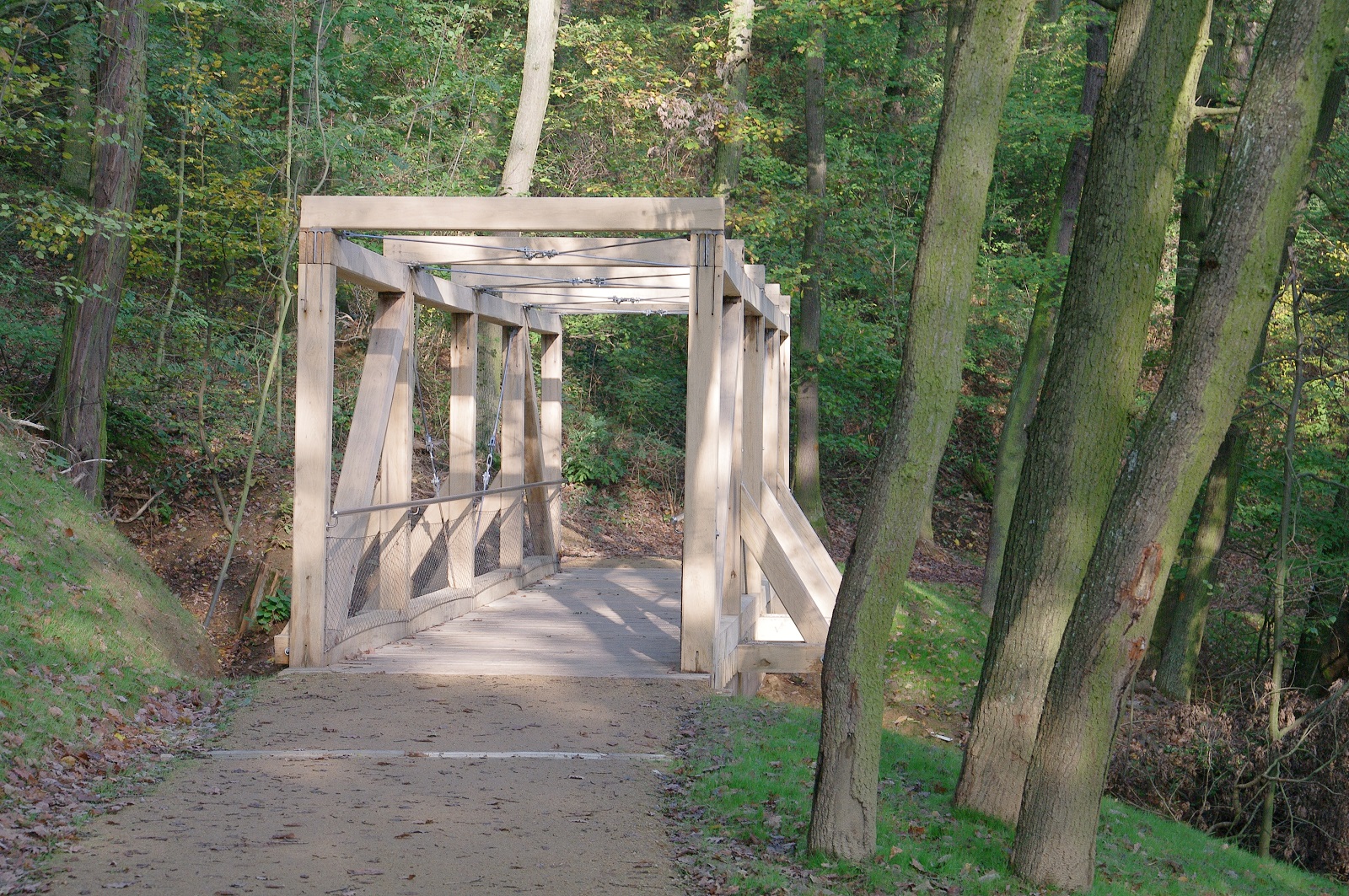 lesopark Nový Lískovec_štěpánová