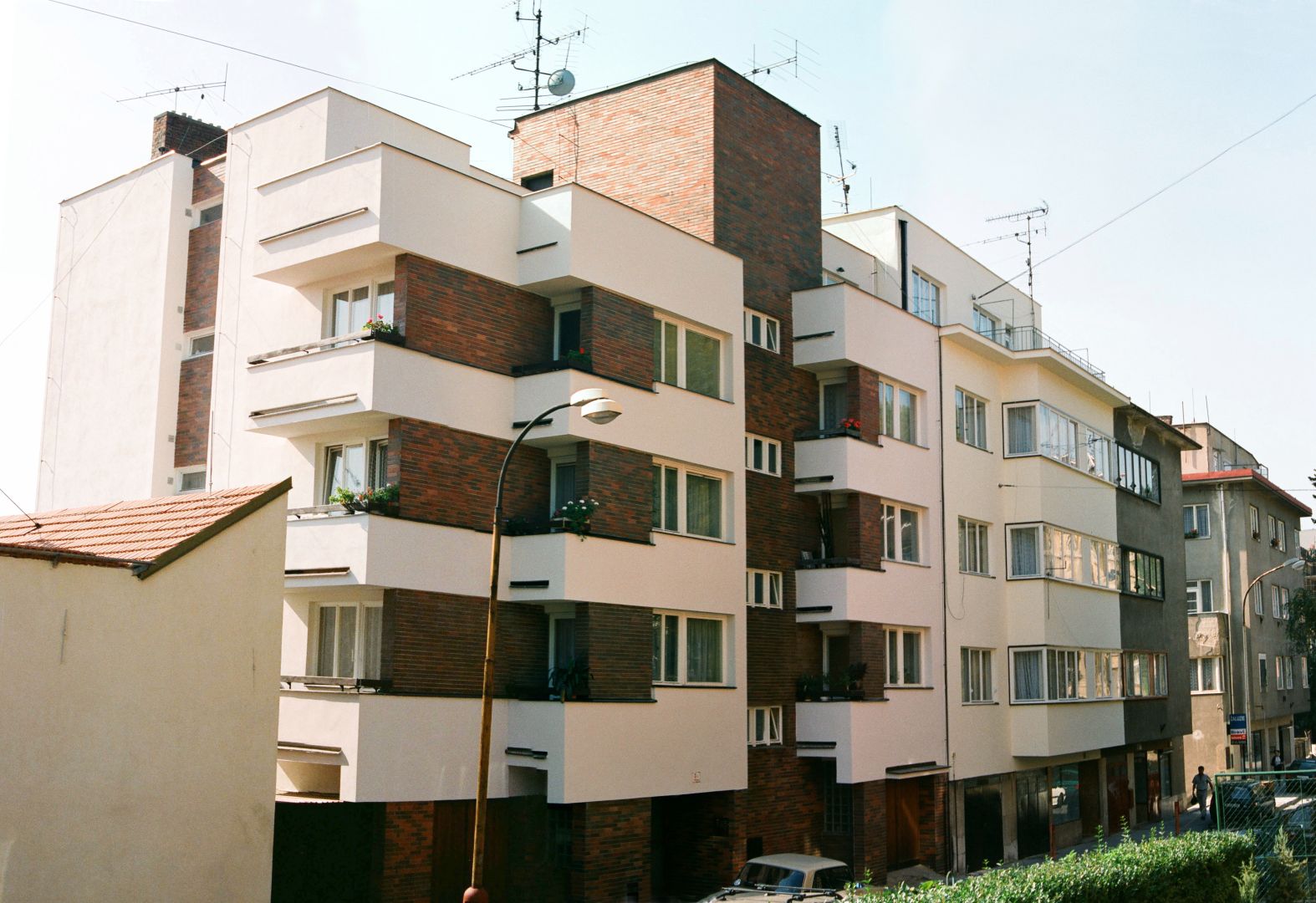 drápalová_pellicova