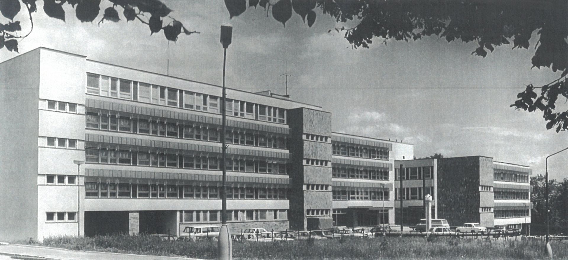 Dvořáková_N_Pelhřimov_01