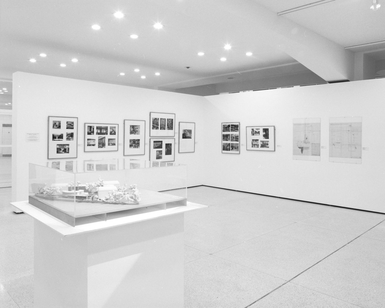 Sedlakova_zivot v rytmu2