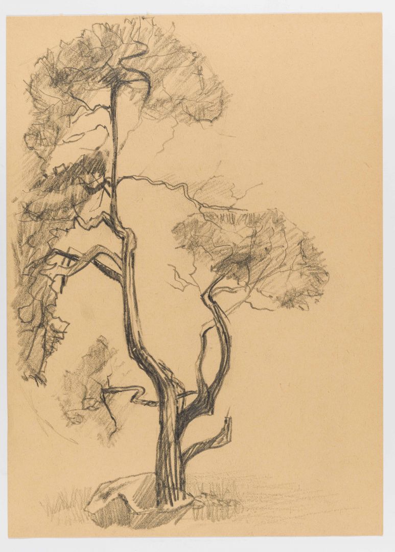 Cajthamlová_M_školní práce 04