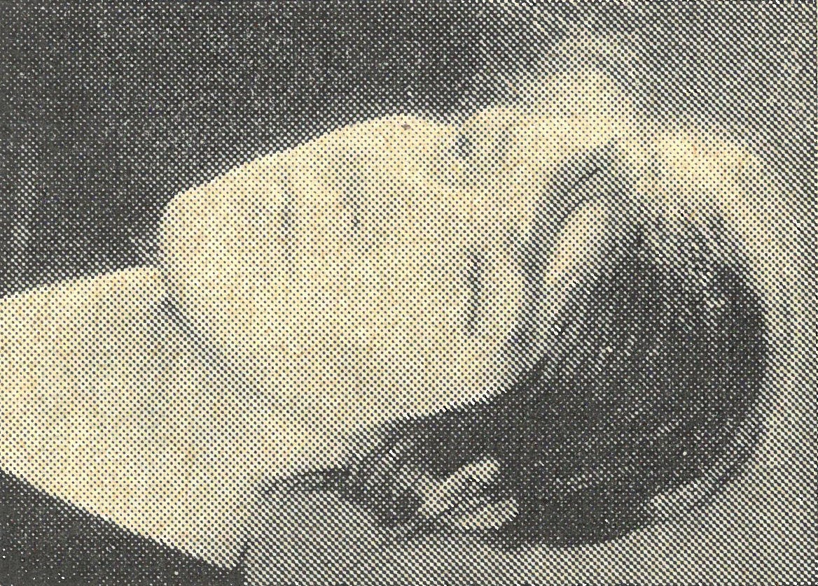 Jana Hrdličková, repro: Československý architekt XI, 1965, č. 8–9, s. 6 Portrét Jany Hrdličkové