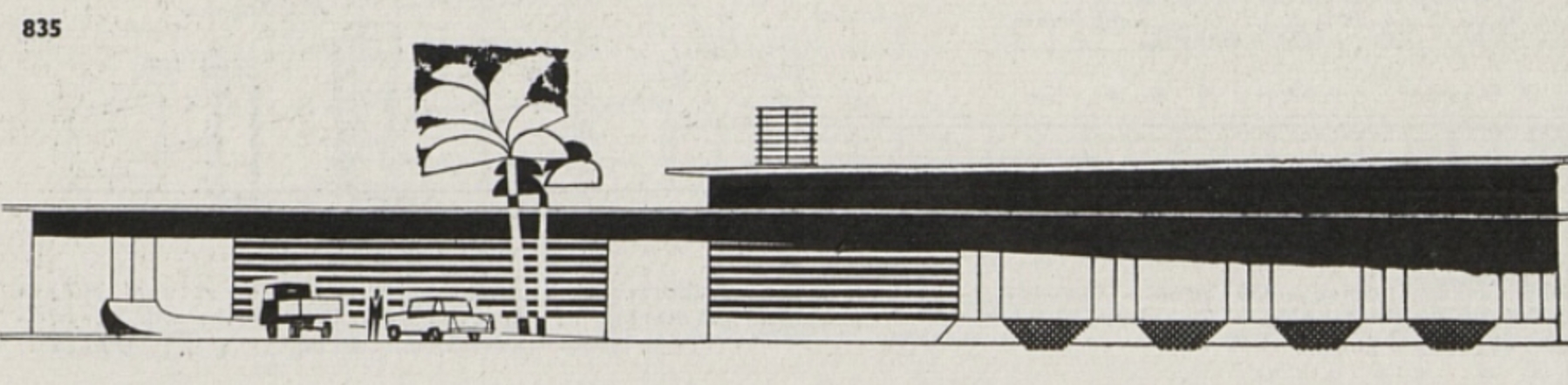 Švábová_Kalkata_boční pohled