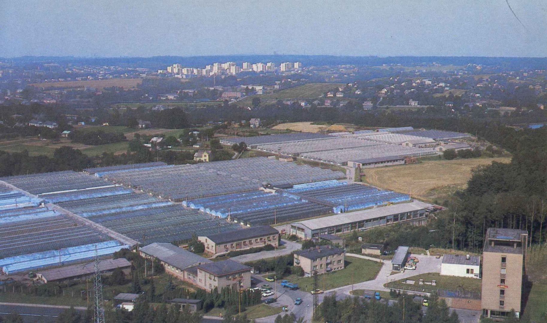 Friedlová_Havířov